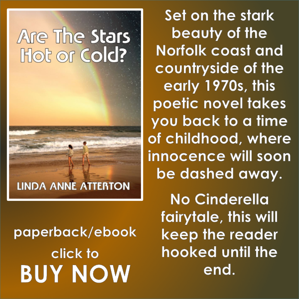 Head off to Viva Djinn Publishing to find out more about Are the Stars Hot or Cold? Head off to Viva Djinn Publishing to find out more about Are the Stars Hot or Cold?